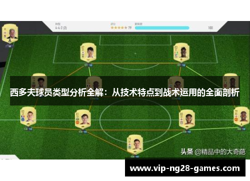 西多夫球员类型分析全解：从技术特点到战术运用的全面剖析